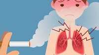 bahaya-rokok-Telinga-Dan-Mata-1024x614 Bahaya rokok untuk anak