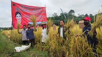 Maria Lestari DPR RI Maria Lestari DPR RI