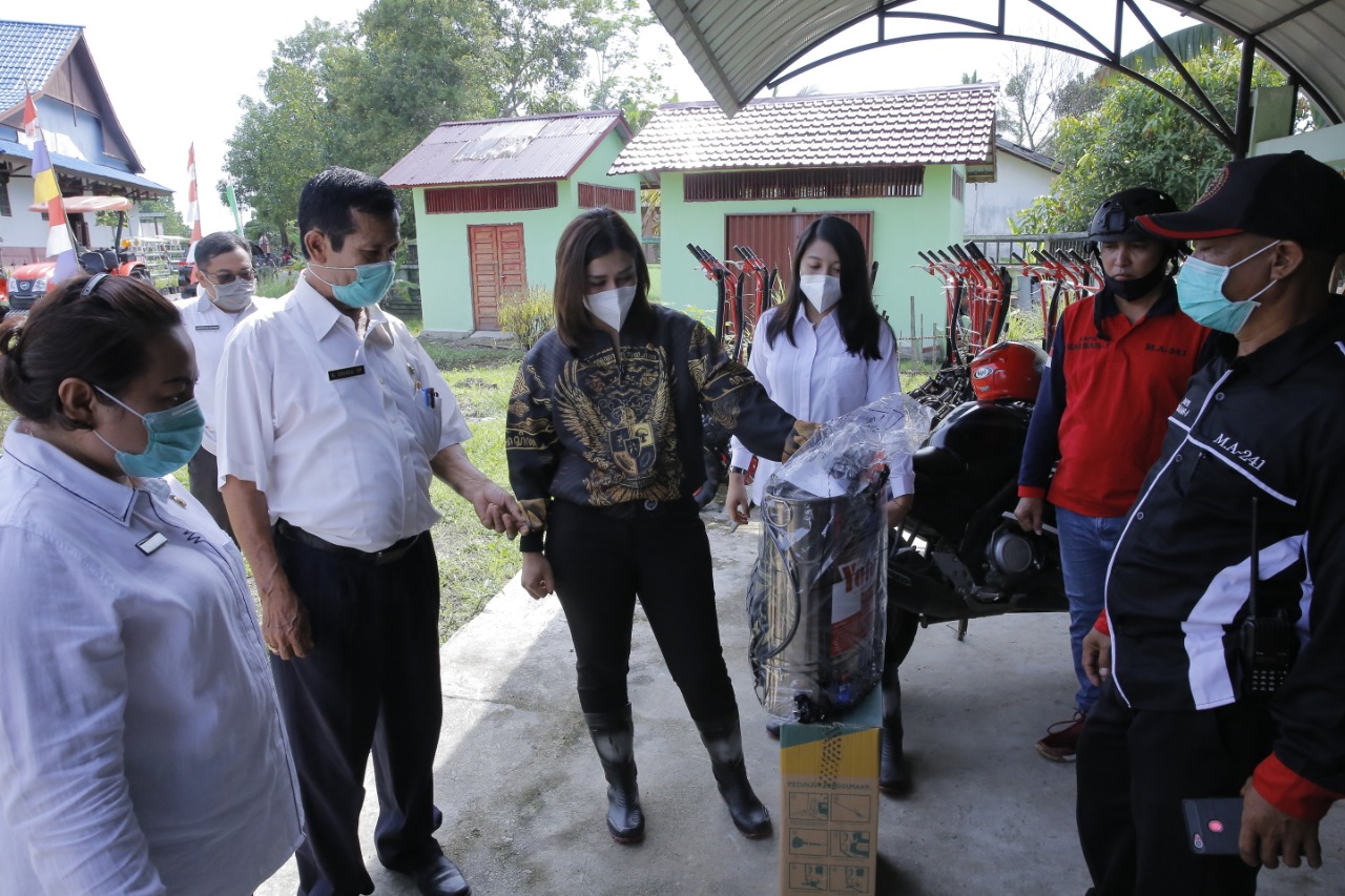 Maria Lestari DPR RI