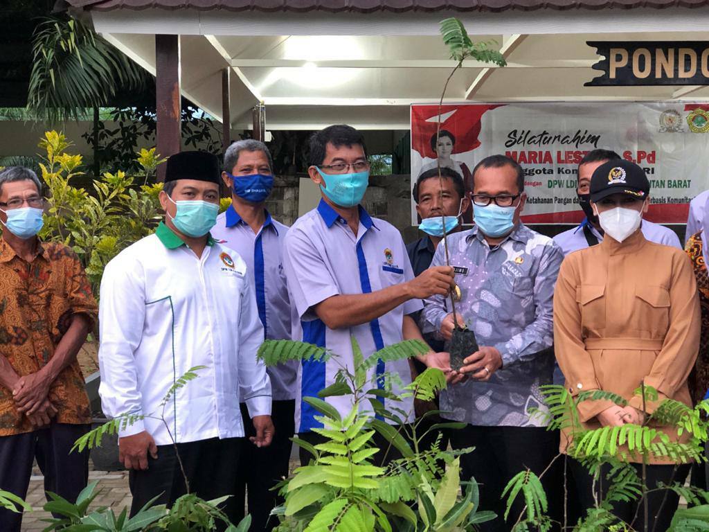 Balai Benih PDI Perjuangan Kalbar Salurkan Bibit Gratis kepada Pengurus LDII