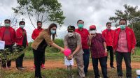 IMG-20210205-WA0067 Keluarga besar PDI Perjuangan Kalimantan Barat menggelar kegiatan tanam pohon di kawasan Universitas Nahdlatul Ulama (UNU) Kalimantan Barat.