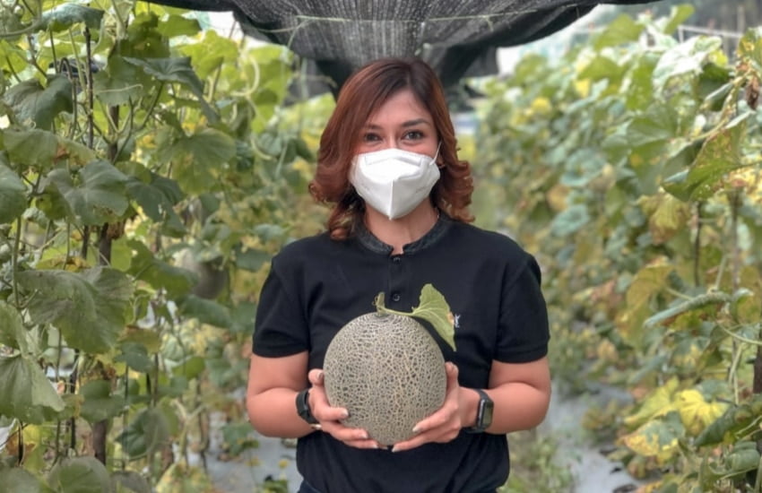 Maria Lestari