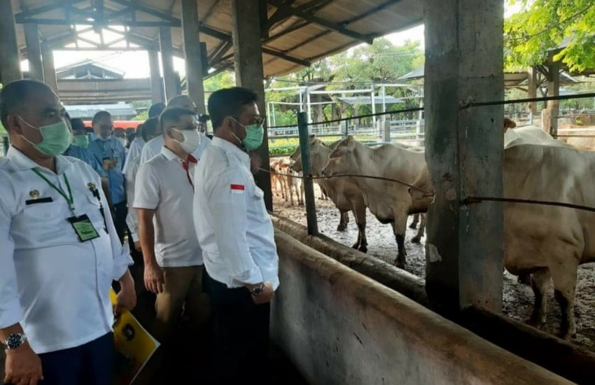 Syahrul Yasin Limpo