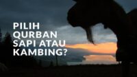 Qurban sapi atau kambing Qurban sapi atau kambing