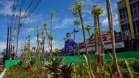 Wali Kota Pontianak Edi Rusdi Kamtono meninjau Taman Parit Nanas.