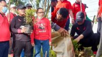 Tanam 500 Pohon, Sujiwo: Kado untuk Ibu Megawati