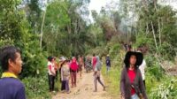 Masyarakat Kompak Tanam Tumbuh Jaringan Listrik PLN di Hulu Buyan Masyarakat Kompak Tanam Tumbuh Jaringan Listrik PLN di Hulu Buyan