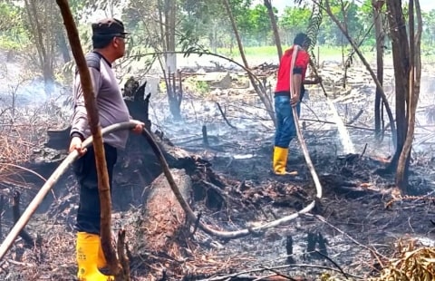 Kebakaran Lahan Seluas 2 Hektar di Sungai Raya Dalam