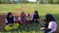 Srikandi Ganjar Kalbar Bersama Milenial Kapuas Hulu Sulap Daun Nyiur jadi Produk Bernilai Srikandi Ganjar Kalbar Bersama Milenial Kapuas Hulu Sulap Daun Nyiur jadi Produk Bernilai