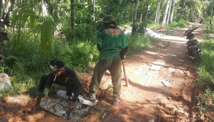 PAC Ansor Kecamatan Mempawah Timur Gotong Royong Perbaiki Jalan Rusak