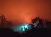 Karhutla Kubu Raya Karhutla Kubu Raya