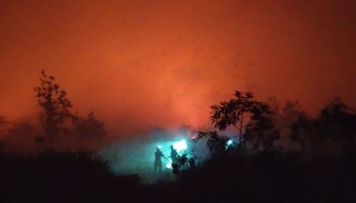 Karhutla Kubu Raya