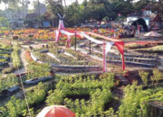 Magelang Agrowisata Magelang Agrowisata