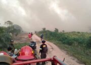 Kebakaran Hutan Di Kubu Raya Bermunculan, Polisi Lakukan Penyelidikan Maksimal Kebakaran Hutan Di Kubu Raya Bermunculan, Polisi Lakukan Penyelidikan Maksimal