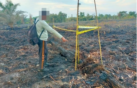 Polisi Tangkap Pelaku Pembakaran Hutan dan Lahan di Rasau Jaya