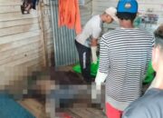 Mayat Pria Karyawan Perusahaan Sawit di Kecamatan Kubu Ditemukan Tewas Mayat Pria Karyawan Perusahaan Sawit di Kecamatan Kubu Ditemukan Tewas