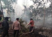 Asap Makin Pekat di Kubu Raya, Polisi Upayakan Pukul Mundur Api Karhutla Asap Makin Pekat di Kubu Raya, Polisi Upayakan Pukul Mundur Api Karhutla