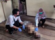 Pria Gantung Diri di Sungai Kakap, Diduga Depresi Karena Sakit Tak Kunjung Sembuh Pria Gantung Diri di Sungai Kakap, Diduga Depresi Karena Sakit Tak Kunjung Sembuh