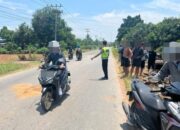Polisi Selidiki Kasus Tabrak Lari Yang Mengakibatkan Tewas Ditempat di Jalan Raya Trans Kalimantan Polisi Selidiki Kasus Tabrak Lari Yang Mengakibatkan Tewas Ditempat di Jalan Raya Trans Kalimantan