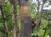 20231127_160428-min Diduga Depresi, Pria di Kubu Raya Ditemukan Gantung Diri