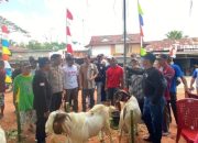 20240826_142001-min Kapolres Kubu Raya Apresiasi Kegiatan Komunitas Peternakan Kambing Raja di Rasau Jaya