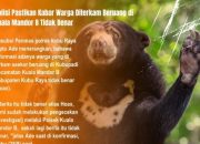20240828_122639-min Warga Kubu Raya di Terkam Beruang, Polisi: Tidak Benar Alias Hoax