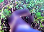 20241007_123235-min Polisi Lakukan Penyelidikan Intensive Tewasnya Pria Tersengat Listrik PLN