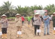 20250121_214153-min Pj Bupati Syarif Kamaruzaman: Kubu Raya Dukung Penanaman Jagung Untuk Ketahanan Pangan