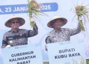 Pj Bupati Ikut Panen Raya di Kuala Mandor B