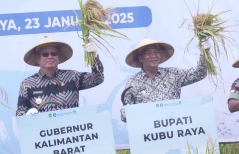 Pj Bupati Ikut Panen Raya di Kuala Mandor B