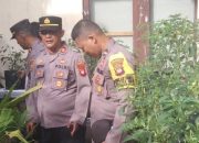 20250203_141533-min Program Ketahanan Pangan, Kapolsek Pontianak Utara Bersama Lakukan Perawatan Tanaman