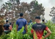 Tim Gabungan TNI-Polri Padamkan Karhutla di Rasau Jaya