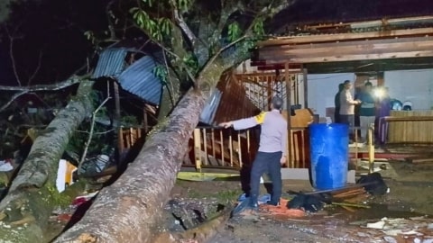Pohon Tumbang Timpa Warkop di Kubu Raya, Pemilik Luka Terkena Ranting
