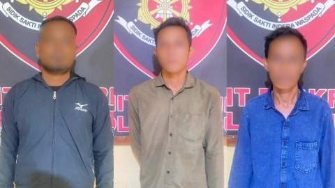 Mandor Licik Gelapkan 36 Ton Sawit, Polsek Kubu Amankan Tiga Pelaku