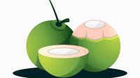 Ilustrasi Kelapa, By : Frepik Ilustrasi Kelapa, By : Frepik