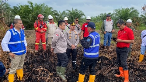 Satgas Gakkum KLHK Segel Lahan Terbakar di Kubu Raya, Tindak Tegas Pelaku Karhutla