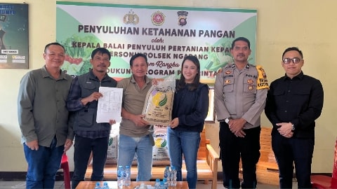 Adrianus Asia Sidot Salurkan 125 Ton Bibit Padi untuk 184 Kelompok Tani di Landak