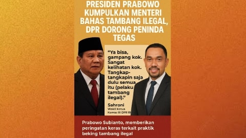 Presiden Prabowo Kumpulkan Menteri Bahas Tambang Ilegal, DPR Dorong Penindakan Tegas