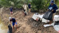 20250922_121617-min Kolaborasi Jaga Mangrove dan Tambak Udang: 458 Ribu Benur Ditebar di Desa Dabong Lewat Program Silvofishery