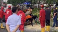 20250924_215144-min Hujan Deras Disertai Angin Kencang, Pohon Tumbang di Pontianak