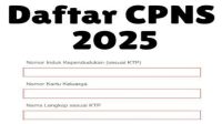 Ilustrasi Pendaftaran CPNS 2025, Sumber Foto : Istimewa