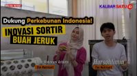 Mesin Sortir Jeruk Cerdas Karya Mahasiswa Untan Pontianak Mesin Sortir Jeruk Cerdas