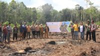 BUMDes Sungai Segak Tanam Jagung, Dorong Ketahanan Pangan dan Kemandirian Ekonomi Desa