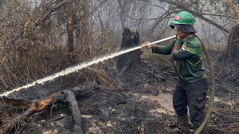 Karhutla Kembali Terjadi di Rasau Jaya, 20 Personel Gabungan Diterjunkan Padamkan Api