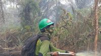 Karhutla Kembali Terjadi di Rasau Jaya, Petugas Terus Lakukan Pemadaman