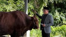 Bupati Kubu Raya Sebut Kurban Tahun Ini Naik Signifikan, Capai 23 Ekor Sapi