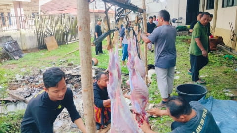LAZISMU At-Tanwir Kalbar Salurkan Ratusan Paket Qurban dan Daging Hadyu