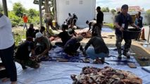 Sapi Banpres Asal Kubu Raya Disembelih, Sujiwo Sebut Bukti Kemajuan Peternakan