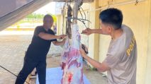 Idul Adha 1447 H, Qurban Polres Kubu Raya Melonjak