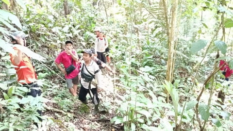 Seorang Kakek Dilaporkan Hilang di Perkebunan Sanggau, Tim SAR Turun Tangan